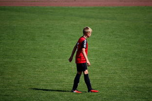 Jiu You-中国足球职业俱乐部球员转会市场活跃度提升，中国足球协会球员身份与转会管理规定